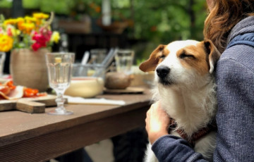 Do Friendly Waiheke Spots