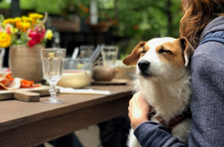 Do Friendly Waiheke Spots