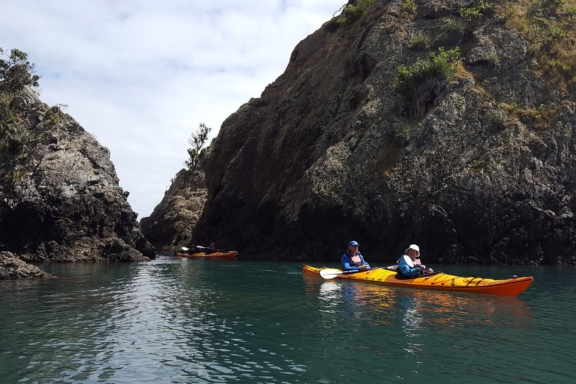 Waiheke Adventure Centre Thumbnail 576x384