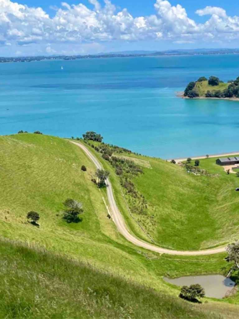 Waiheke Horse Tours 2560x1440 2