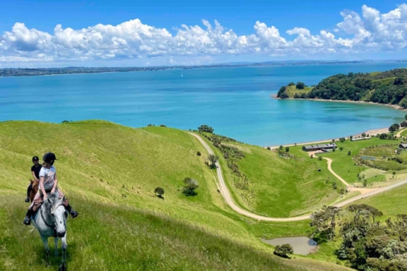 Waiheke Horse Tours Thumbnail 576x384