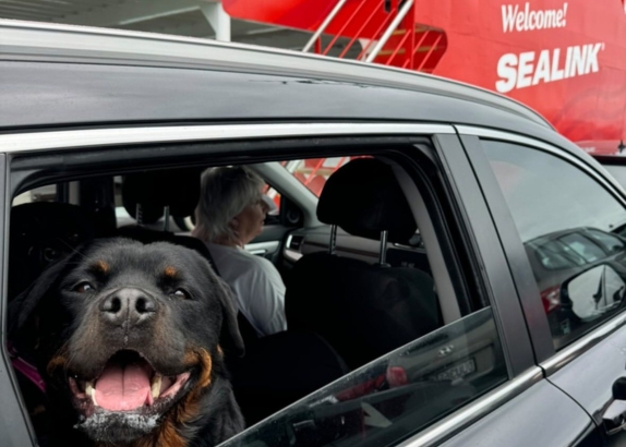 Dog Friendly Sealink 574x410